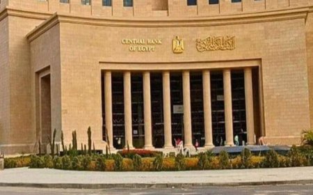 البنك المركزي المصري يعلن ارتفاع النقد الأجنبي 46,59 مليار دولار وتثبيت سعر الفائدة