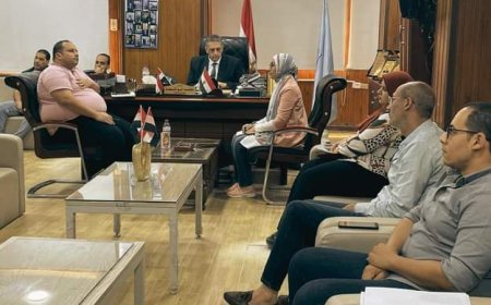 مبادرة «رعاية» لتحسين مكافحة العدوي وخفض وفيات الأطفال في كفرالشيخ 