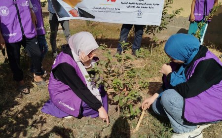 زراعة الأشجار و تدريبات الحاسب الآلي ضمن فاعليات المهرجان الرياضي بمركز شباب "دقلت" بكفر الشيخ 