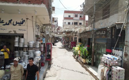 محافظ كفرالشيخ: نقل الباعة الجائلين من شارعي بورسعيد والنقراشي إلى السوق الحضري الجديد