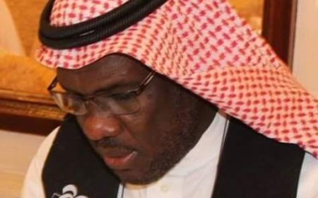 برناوى المخضرم يستحق الإشادة