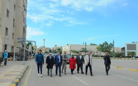لجنة تتفقد موقع إنشاء جامعة كفرالشيخ الأهلية