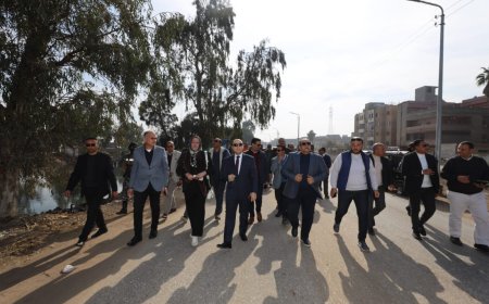 محافظ كفرالشيخ يتابع ميدانيًا تركيب أعمدة الإنارة لتعزيز البنية الأساسية وتحسين الخدمات