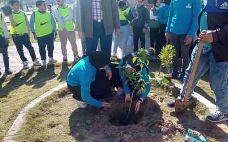 أعضاء أندية التطوع بشباب مطوبس يشاركون مشروع الخدمة العامة وتشجير مراكز الشباب |صور