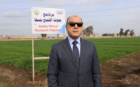 محافظ كفرالشيخ يتابع جهود البحوث الزراعية في الندوات الإرشادية والمدارس الحقلية لتوعية المزارعين وزيادة إنتاجية الفدان