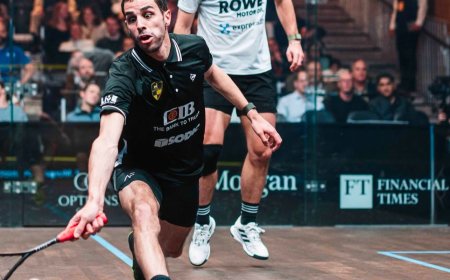 تأهل لاعبا وادى دجلة هانيا الحمامي وعلي فرج إلى نهائي جي بي مورجان للإسكواش