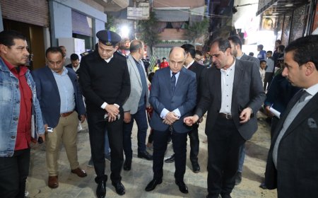 محافظ كفرالشيخ يتفقد أعمال مشروع تركيب الإنترلوك ورفع كفاءة الأرصفة بشوارع حي القنطرة.. ويلتقى عدداً من المواطنين 