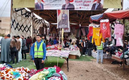 معرض "العيلة المتكامل" باتحاد شباب كفر الشيخ وسط إشادة جماهيرية