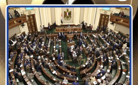 جدل بمجلس النواب خلال مناقشة ضوابط عقوبة حبس المرأة الحامل بقانون الإجراءات الجنائية