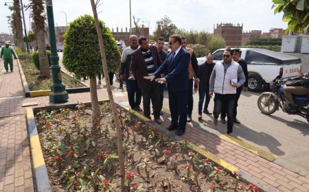 محافظ المنوفية يتفقد أعمال تطوير مدخل الباجور البحري وصيانة كوبري الباجور العلوي