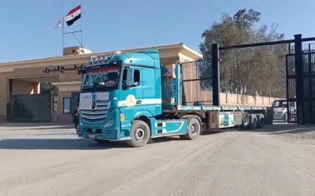 وصول المساعدات الإنسانية من محافظة القاهرة إلي رفح لدعم شعب غزة  