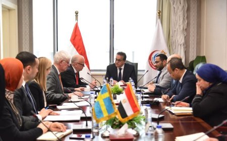 بحث التعاون في مجال الصحة العامة بين مصر والسويد 