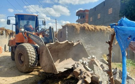 محافظ كفرالشيخ يتابع الموجة الـ 25 لإزالة التعديات على أملاك الدولة والأراضي الزراعية ومخالفات البناء بمركز قلين