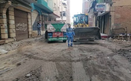 رئيس مركز ومدينة كفر الشيخ يتابع أعمال التبليط بالإنترلوك بتقسيم المنتزه بحي شرق المحافظة 