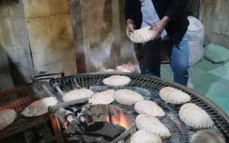 تحرير 7 محاضر مخالفات تموينية في قلين خلال حملات رقابية