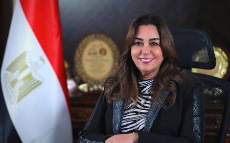 وزارة التنمية المحلية تعلن بدء تطوير شارع الرشاح بالقليوبية بتكلفة 51 مليون جنيه