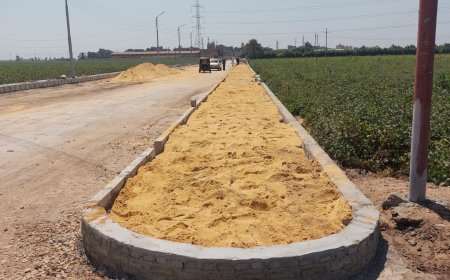 دكتورة عبير عطا الله تطلق مبادرة لتطوير قرية "النسيمية" محافظة الدقهلية