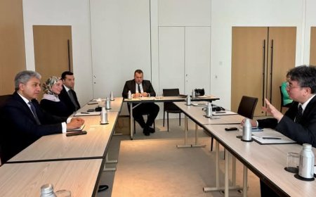 مصر تدعو العالم لزيارة المتحف الكبير 