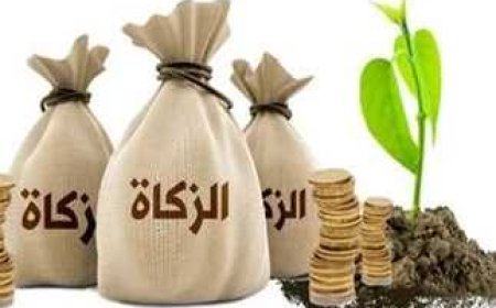 زكاة الفطر 2025.. «الإفتاء» تحدد 4 حالات لا تجزئ فيها الفدية عن الصيام