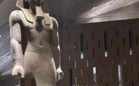 جدل واسع حول مقطع نشرته فدوى مواهب: وصحة أقاويل رمسيس الثاني هو فرعون موسى 