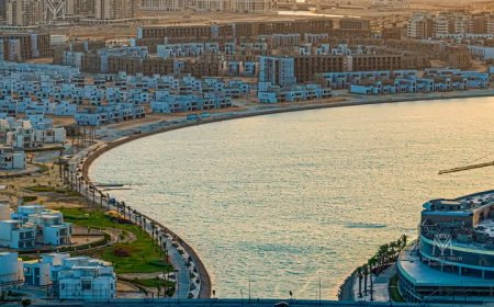 مصر تتصدر الخريطة الاستثمارية العالمية: شركات عالمية تختار مصر مركزًا رئيسيًا لعملياتها