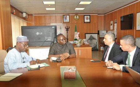 السفير المصرى فى أبوجا يلتقى مع وزير الطاقة النيجيرى