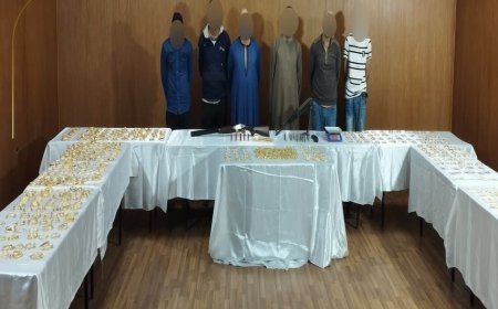 الداخلية تكشف ملابسات سرقة فرع شركة مدفوعات إلكترونية بالجيزة وضبط الجناة