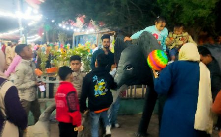 حديقة الحيوان منفذ الترفيه لأبناء كفر الشيخ