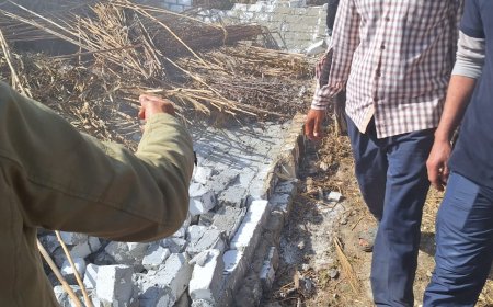 محافظ كفرالشيخ يتابع حملات إزالة التعديات على الأراضي الزراعية