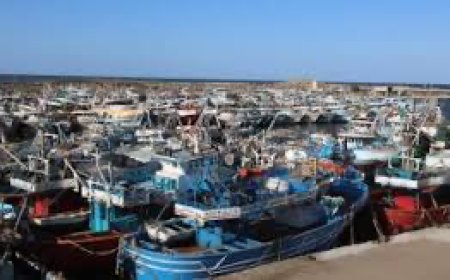 عودة حركة الملاحة والصيد بميناء البرلس وسواحل المحافظة الشمالية 