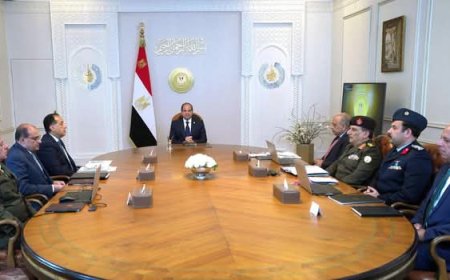 الرئيس السيسي يؤكد بتسريع استكمال التغذية الكهربائية بالدلتا الجديدة