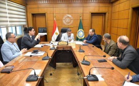 الدقهلية تسابق الزمن للانتهاء من المنطقة اللوجستية