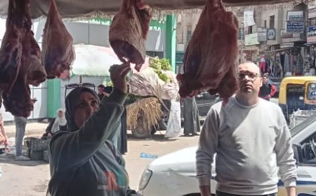 ضبط لحوم مجهولة المصدر في كفرالشيخ