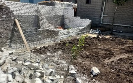 إزالة حالتي تعد علي الأراضي الزراعية بحامول كفرالشيخ