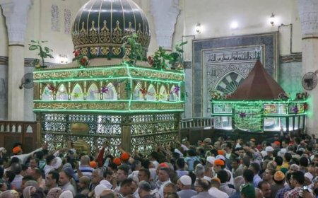 اليوم.. افتتاح رجبية القطب أبو العينين بدسوق بكفرالشيخ