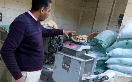 ساطور يتابع حملات التفتيش على المخابز بمركز ومدينة دسوق