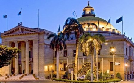 الطب يتحدث الفرنسية في القصر العيني العام القادم 