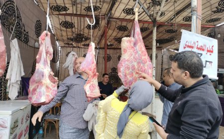ضبط دواجن مجمدة مجهولة المصدر داخل مطعم بكفر الشيخ