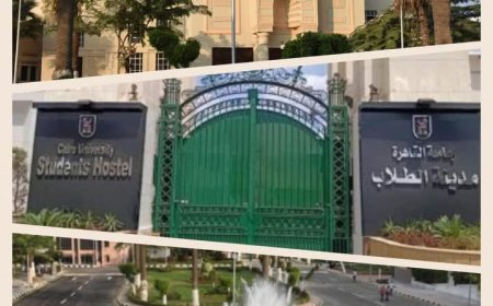 جامعة القاهرة تستقبل مكتب التنسيق