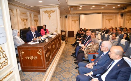 رئيس جامعة كفرالشيخ يتاقش موازنة الجامعة في اجتماع لجنة التعليم العالي والبحث العلمي في مجلس النواب