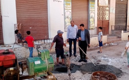 محافظ كفرالشيخ: رفع كفاءة وتطوير مطابق الصرف الصحى بشارع العرب بمسير