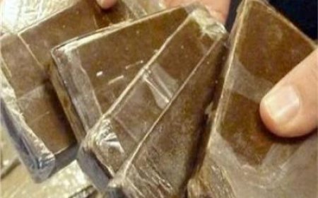ضبط عاطلين ببيلا بحوزتهما مواد مخدر وسلاح ناري يقدر قيمتها بـ 400 ألف جنيه