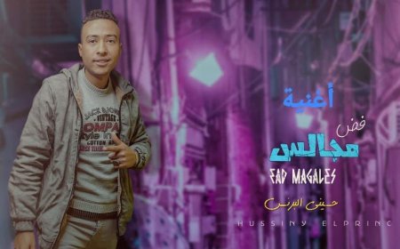 المطرب حسيني البرنس يشعل الساحة الفنية بمهرجان "فض مجالس"