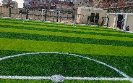 "شباب كفر الشيخ" تتسلم ملعبي كفر المرازقة وحصة الغنيمى بعد تطويرهما