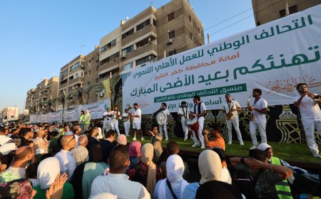 محافظ كفرالشيخ يتابع فعاليات الحفل الذي ينظمه "التحالف الوطني" بشوارع المحافظة