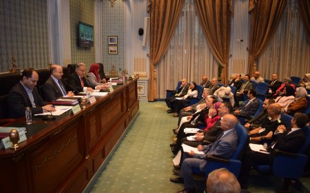 مجلس النواب يناقش خطط المشروعات الخدمية بكفرالشيخ 