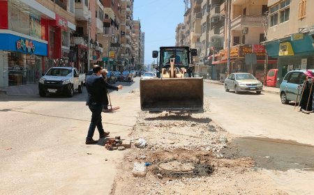 نقل كشك الكهرباء من منتصف شارع إبراهيم المغازي لتحقيق السيولة المرورية وتحسين المظهر الحضاري