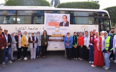 جامعة القاهرة تنظم قافلة شاملة في بولاق الدكرور 