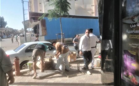 حملات مكثفة لإزالة الإشغالات وفرض الانضباط بشوارع كفرالشيخ