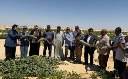 مديرية الزراعة بشمال سيناء تواصل جوالاتها الميدانية للتجمعات التنموية